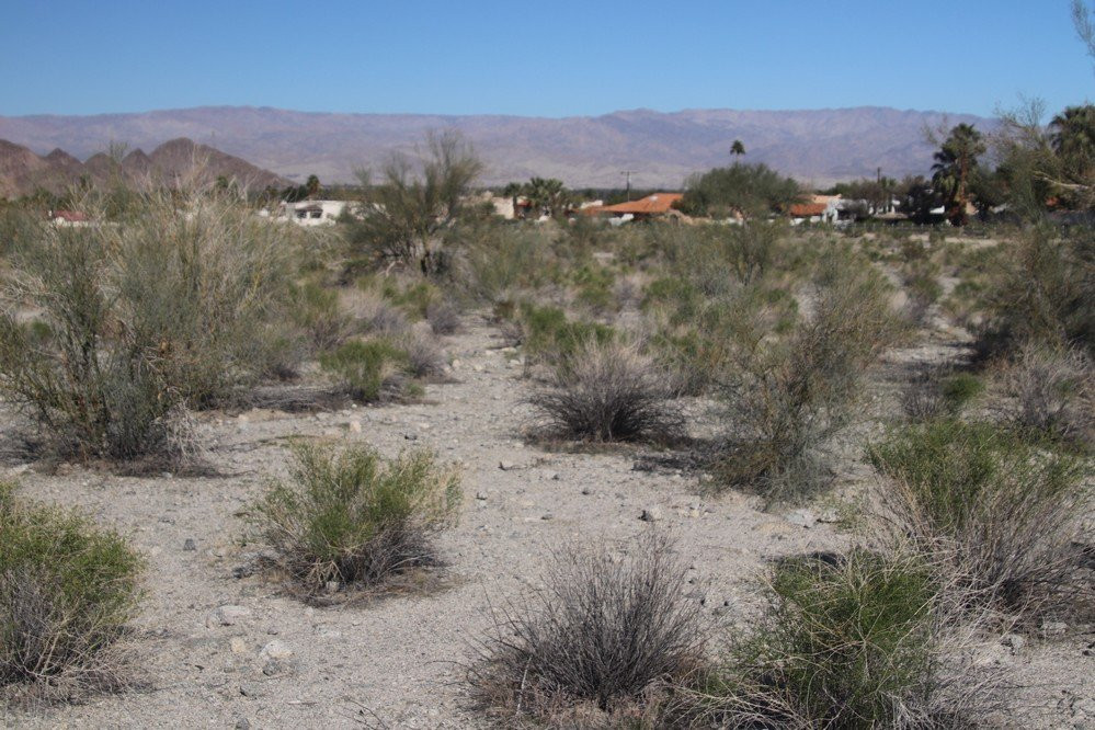 Fred Wolff Bear Creek Nature Preserve