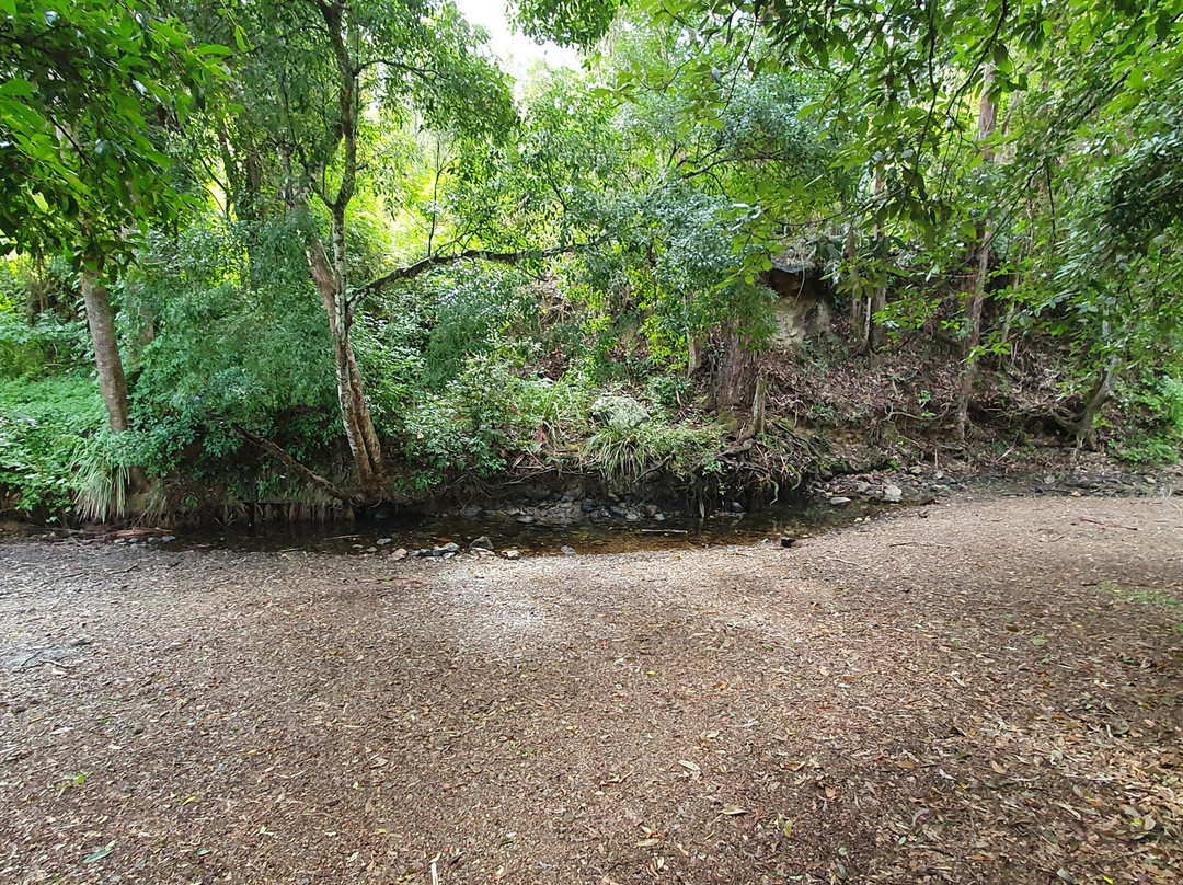 Red Cedar Park景点图片