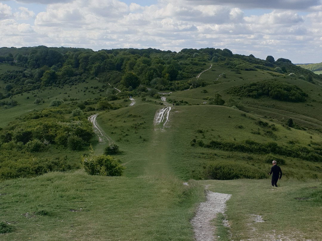 Ivinghoe Beacon景点图片