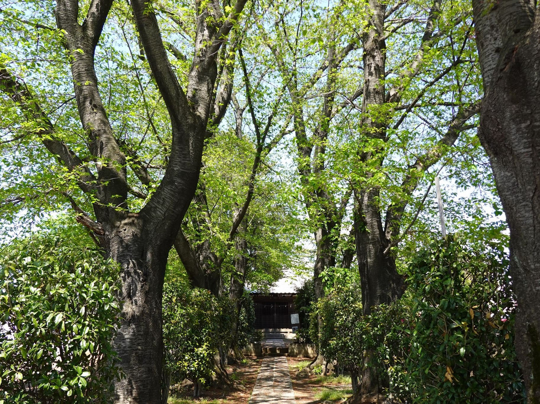 Kawarabuki Inari Shrine-上尾市必去景点