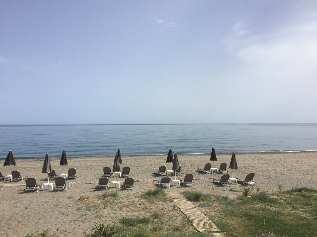 Hotel Caretta Beach主图