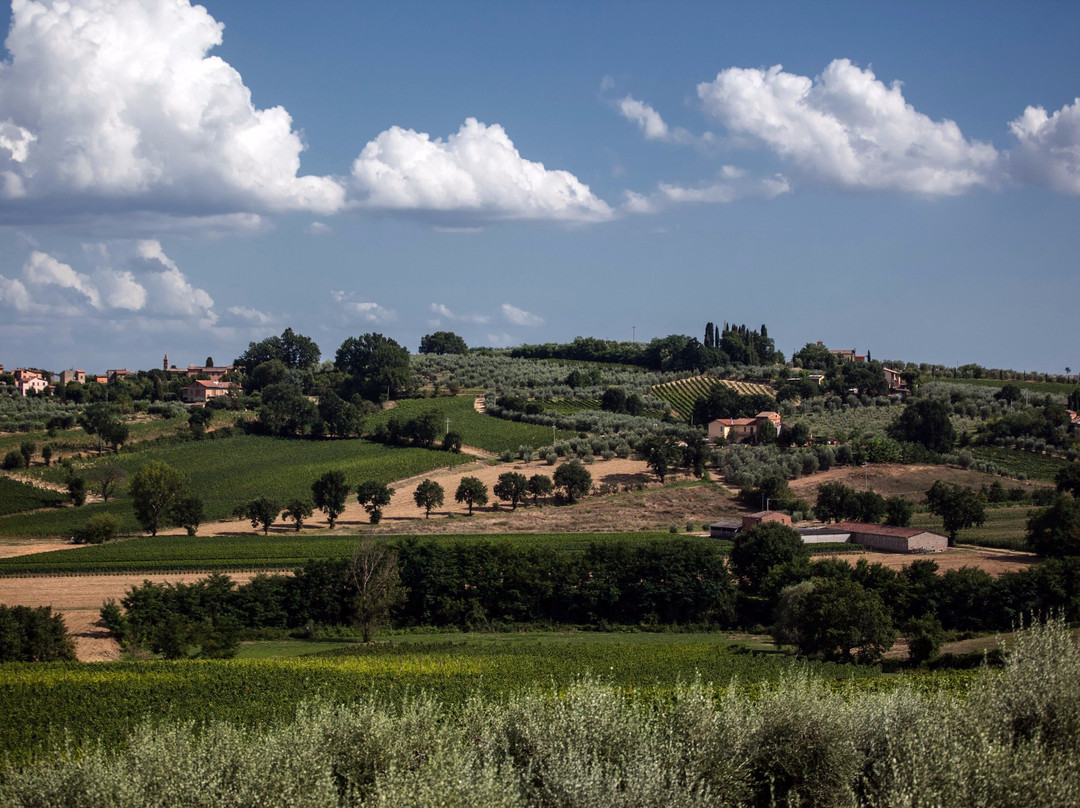 Agriturismo Sanguineto Montepulciano-蒙特普尔恰诺必去景点