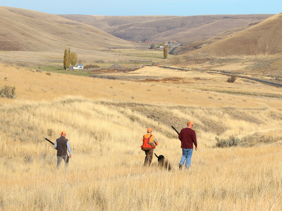 Ruggs Ranch Hunting Preserve-Heppner必去景点