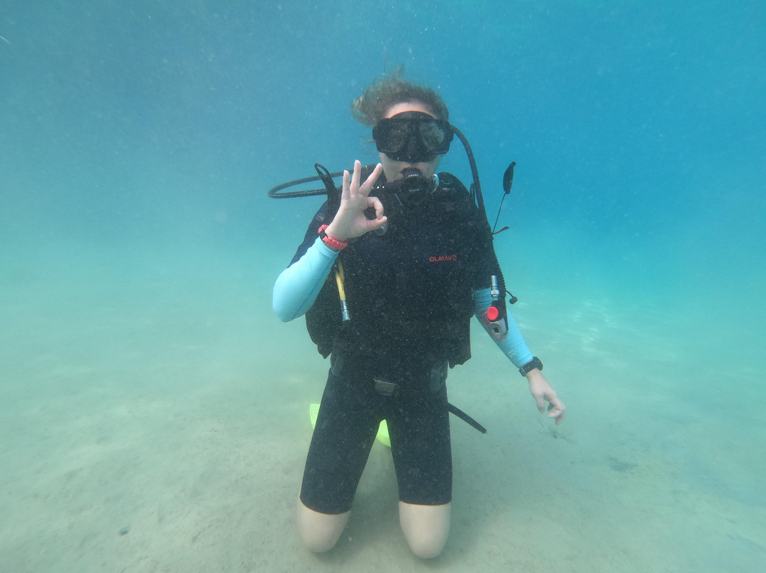 Skol Bar Dive-德克必去景点