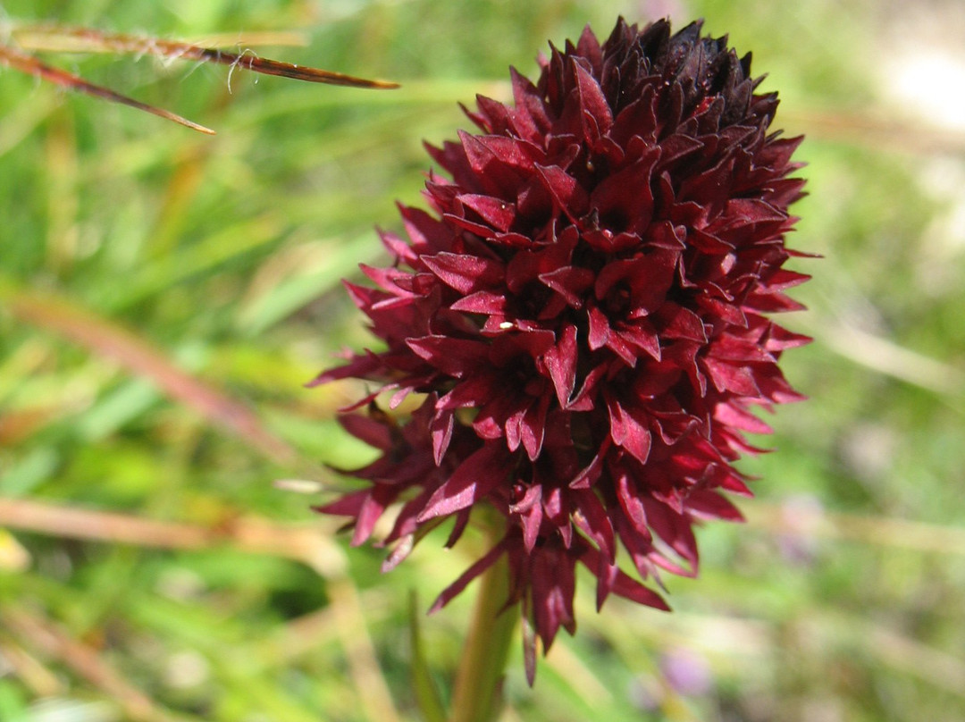 Landhaus Notburga主图