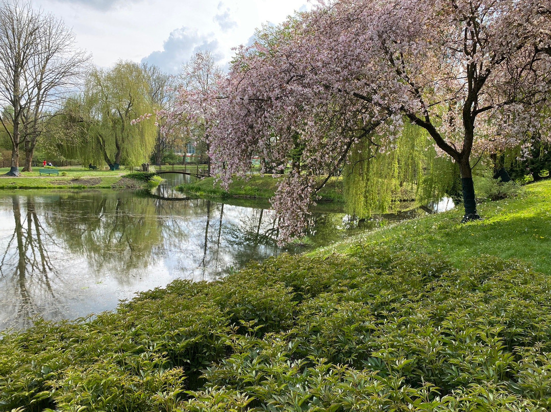 Botanical Garden UMCS景点图片