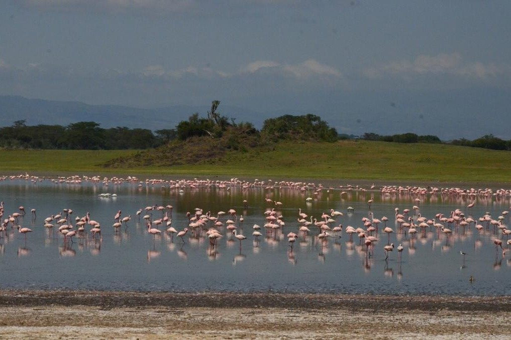 FoxTrail Expeditions-纳库鲁必去景点