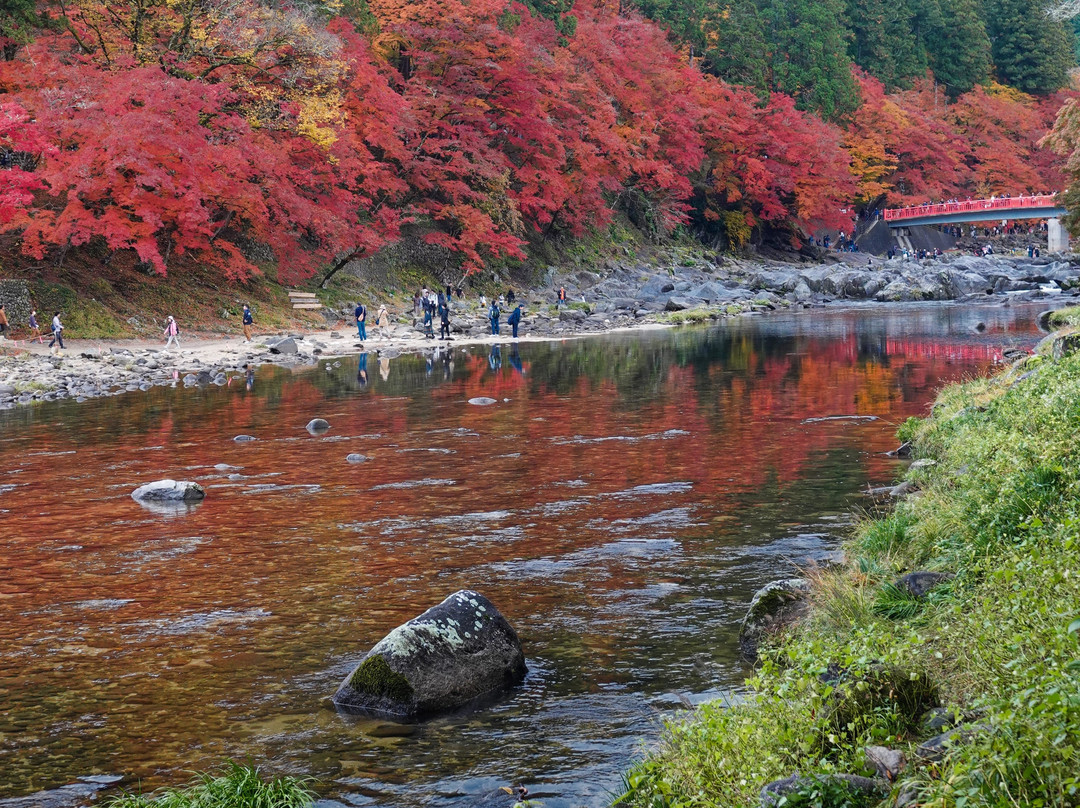 Koran Valley-丰田市必去景点