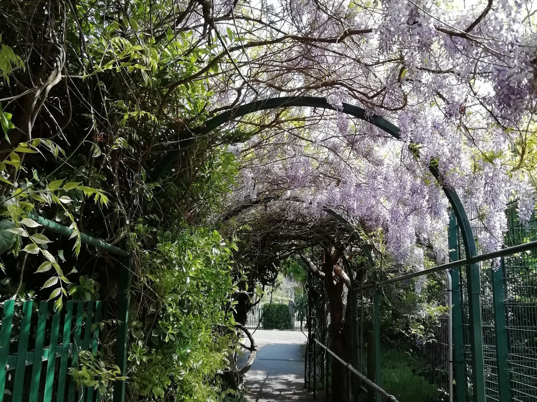 Grove Park-滨海韦斯顿必去景点