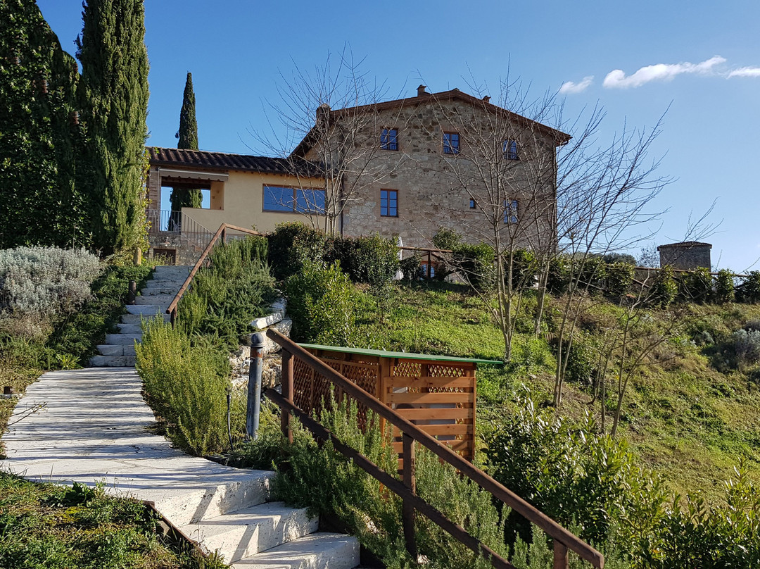 Chianti B&B Design主图