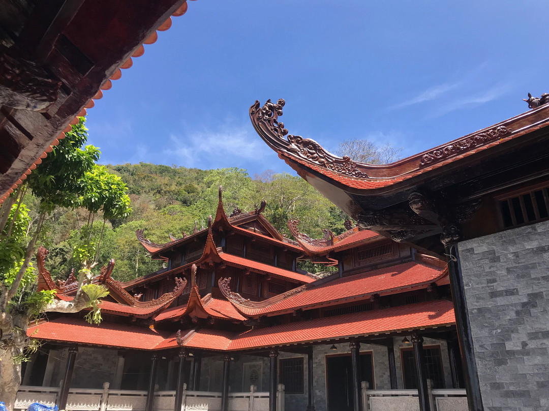 Linh Son Truong Tho Pagoda景点图片