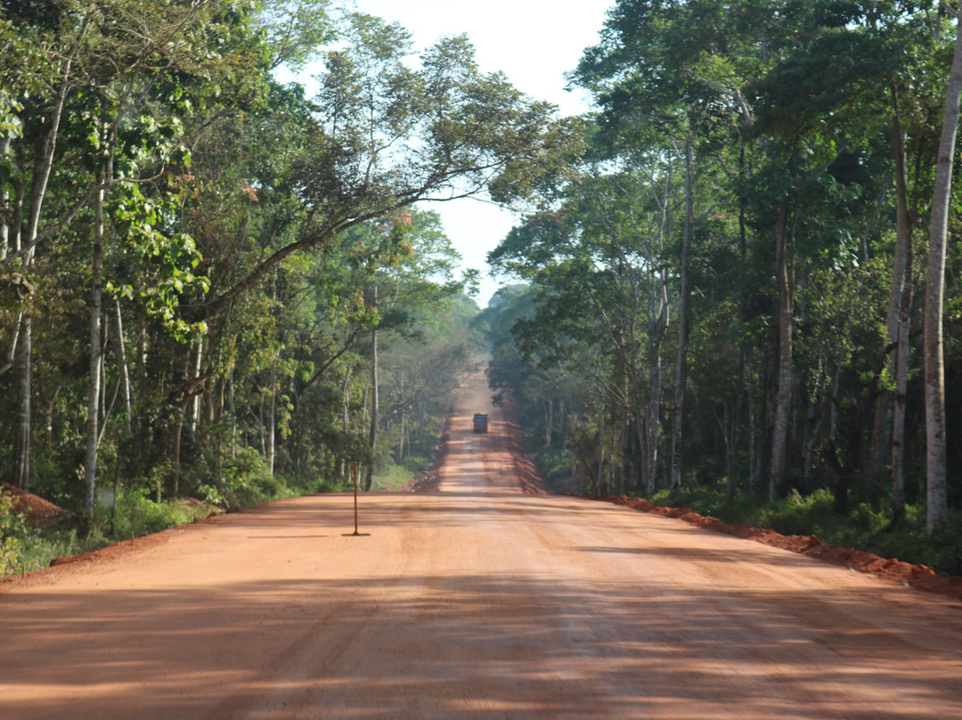 Budongo Forest-Western Region必去景点