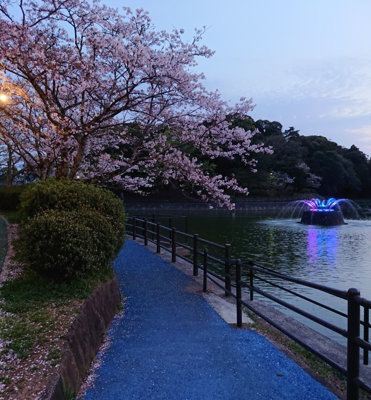 Amagi Park景点图片