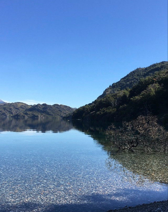 Reserva Nacional Lago Cochrane o Tamango-Cochrane必去景点
