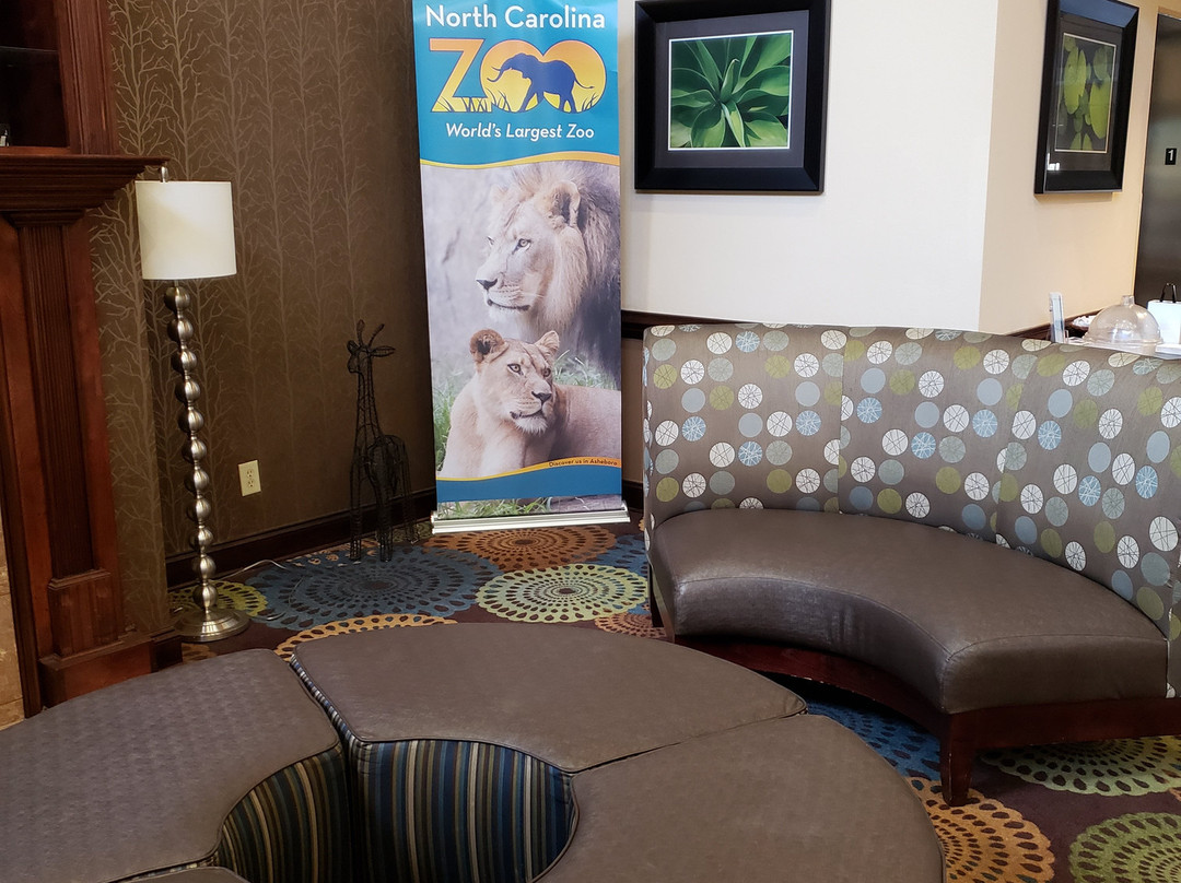 Comfort Inn & Suites主图