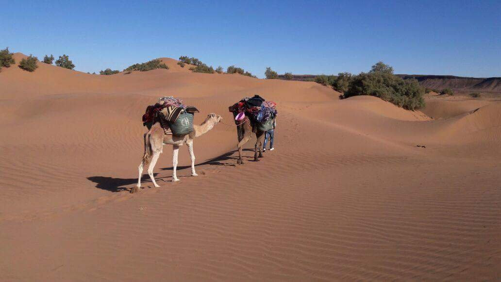 Marrakech Viajes del desierto baratos a Marruecos景点图片