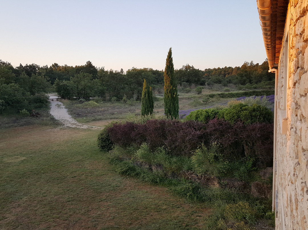 Domaine du Frigoulet主图