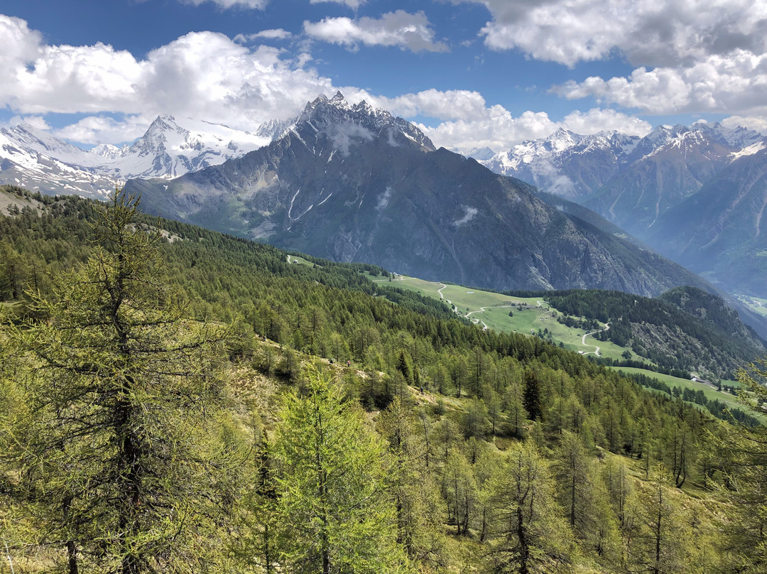 Aosta Valley Freeride景点图片