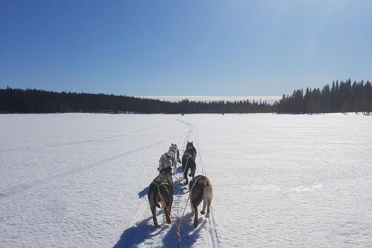 Backwoods Husky-Taivalkoski必去景点