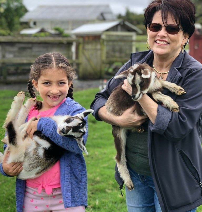 The Lili House Farm-火山必去景点