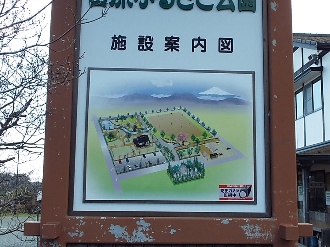 Tawara Furusato Park-秦野市必去景点