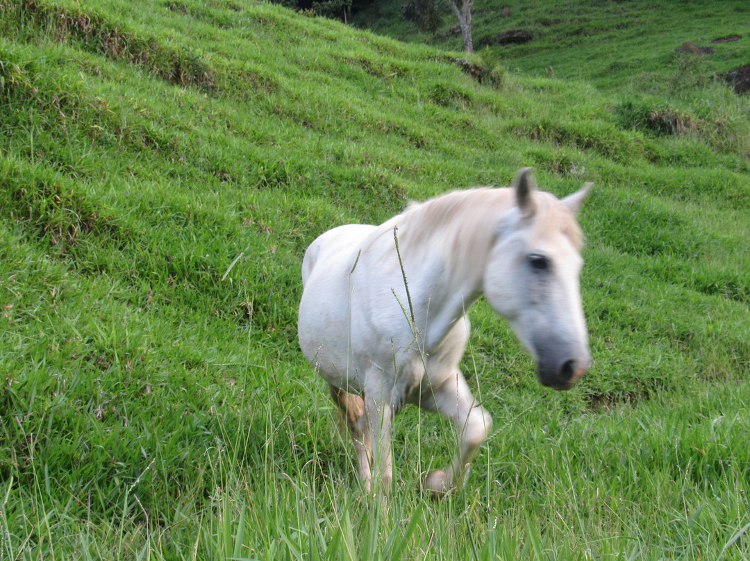 Cachoeira Deus Me Livre景点图片
