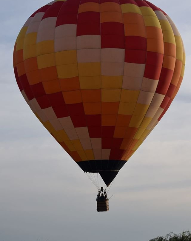 Globos Aerostaticos Argentina景点图片
