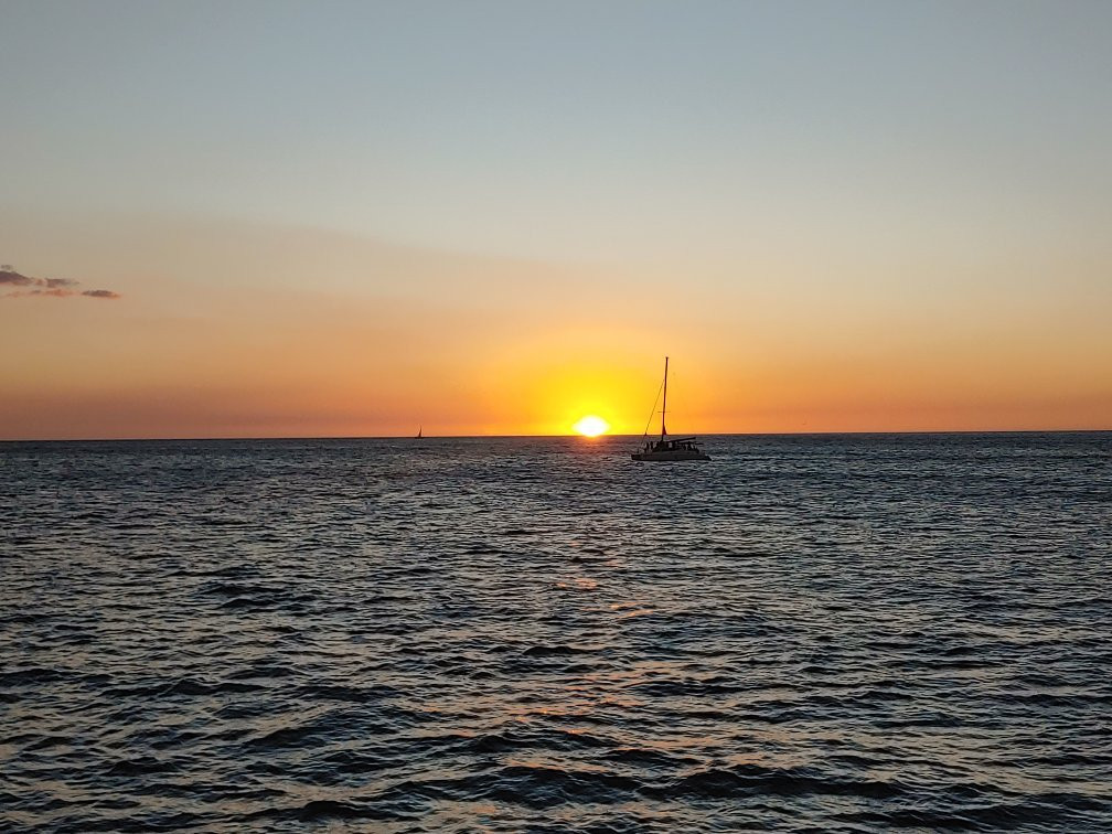Marlin Del Rey Sailing Tours景点图片