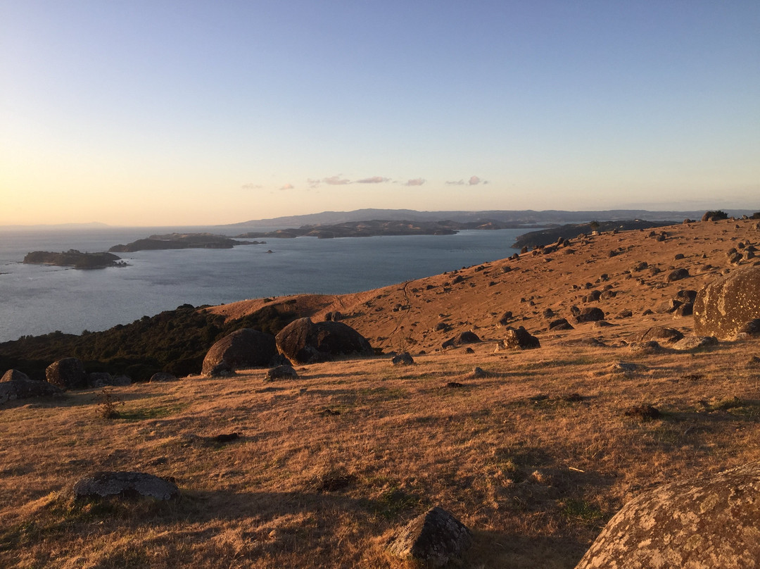 Potiki Adventures-怀系奇岛必去景点