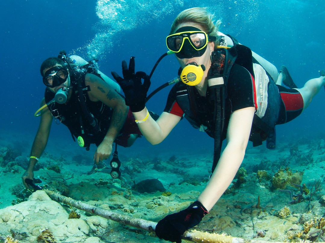Shark's Friends Diving Center-Playa Santa Lucia必去景点