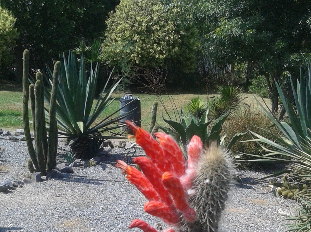Jardin Botanico de Cordoba-科尔多瓦必去景点