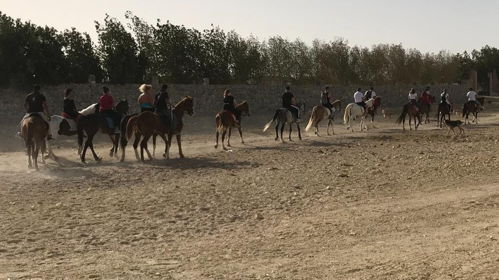 Egypt Horse Ride-赫尔格达必去景点