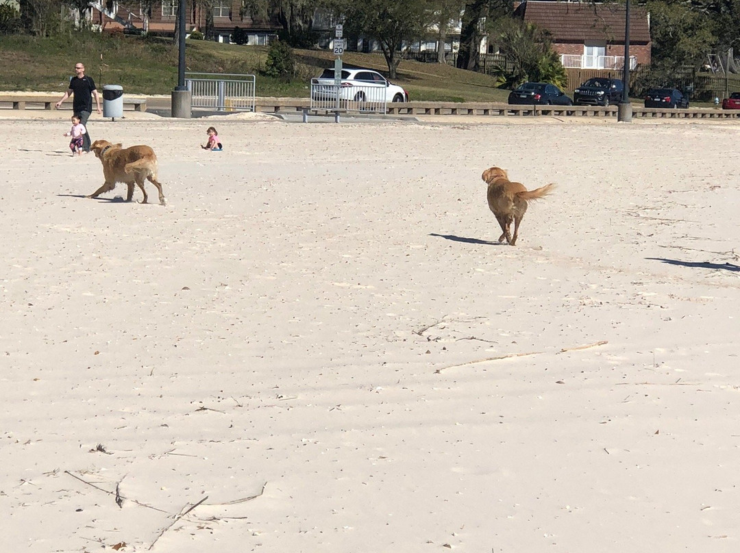 Front Beach景点图片