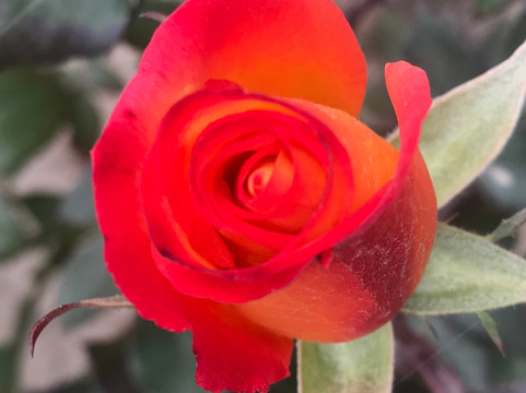 Kirkuk Citadel-Kirkuk必去景点