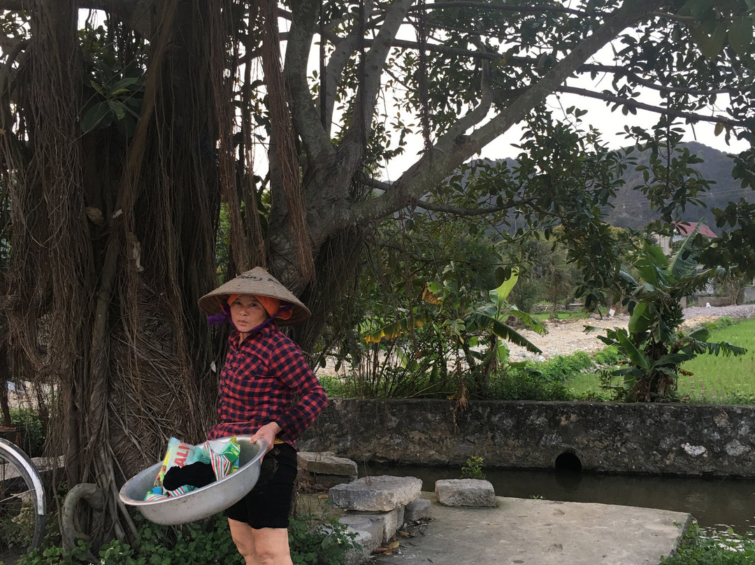 Ninh Binh Village1990 Homestay主图