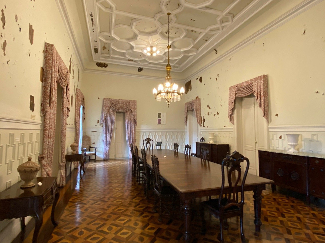 Rio Negro Palace Museum景点图片