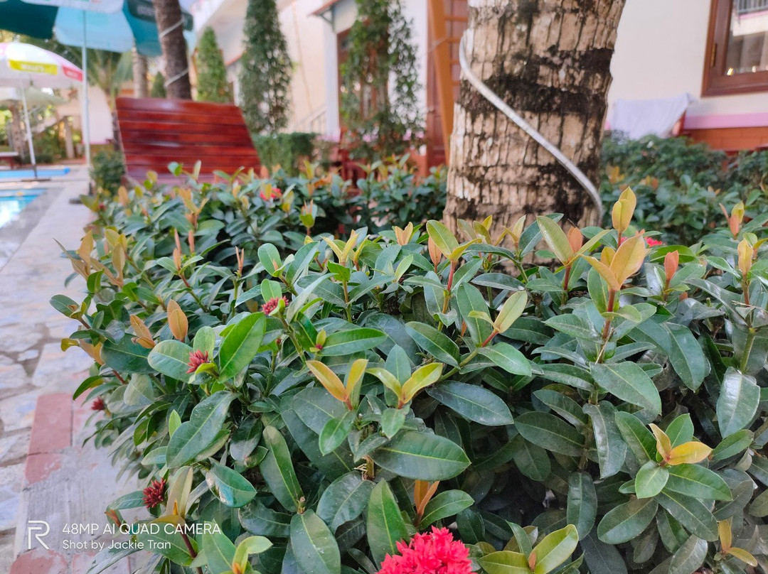 Camellia Resort & Spa主图