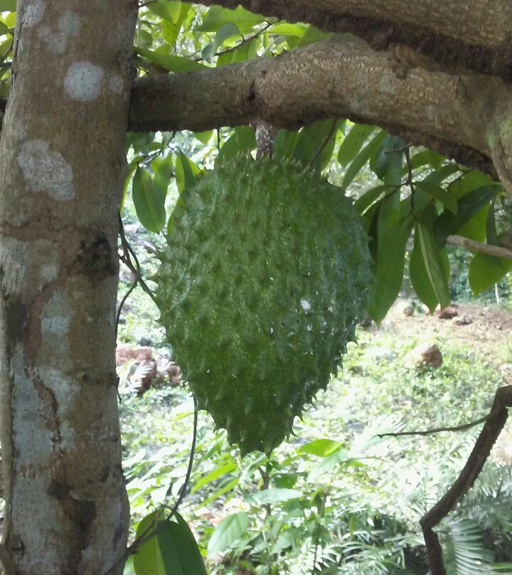 Playa Madama-Las Galeras必去景点