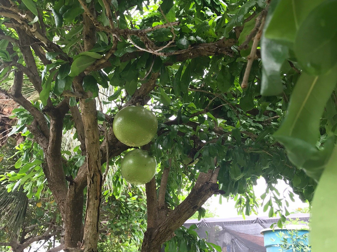 Casa de Caboclo主图