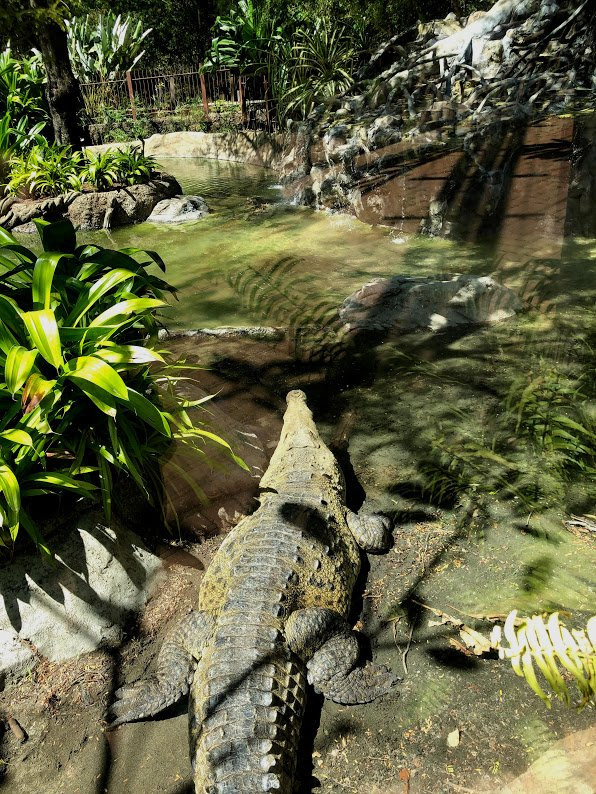 Diamante Eco Adventure Park景点图片