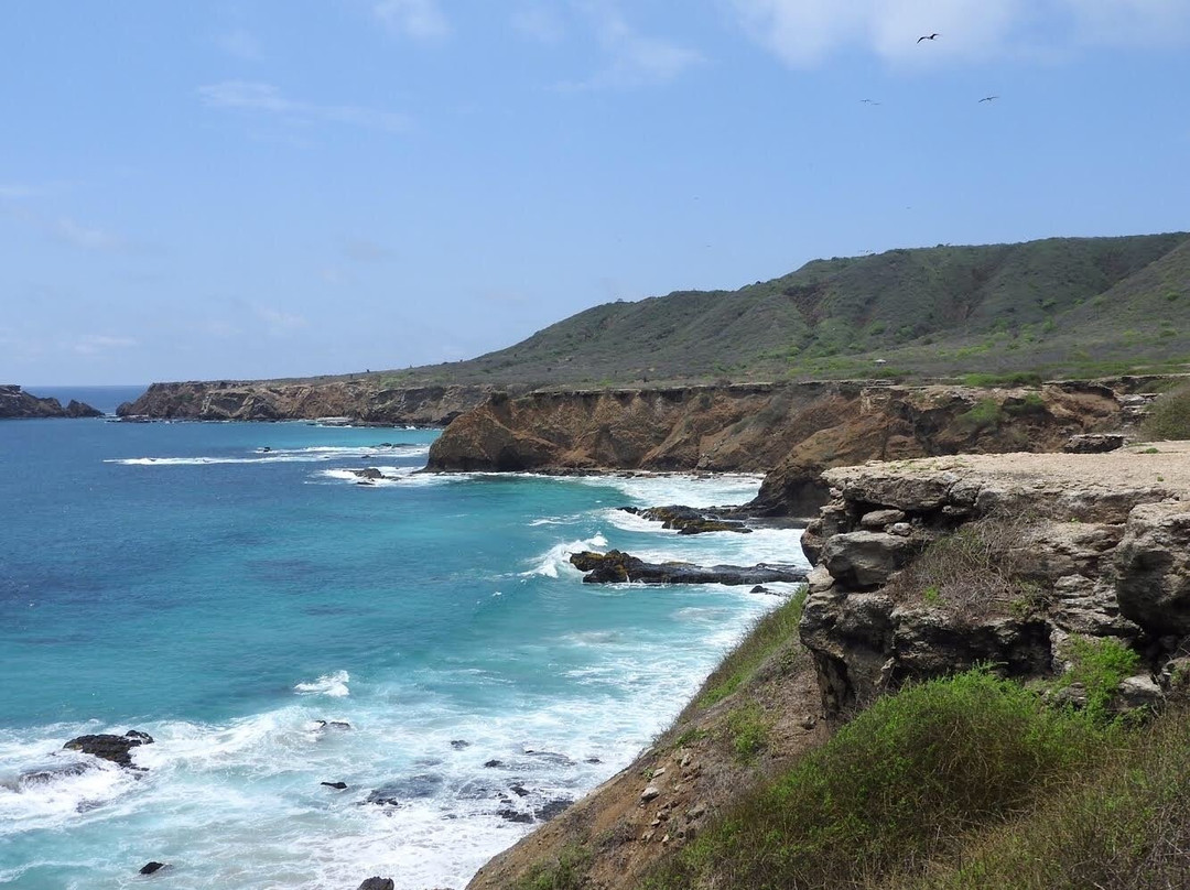 Isla de la Plata-Puerto Lopez必去景点
