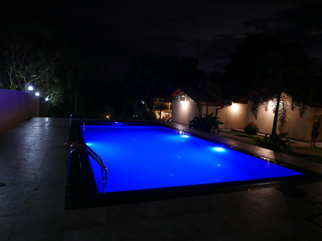 Jungle Paradise主图