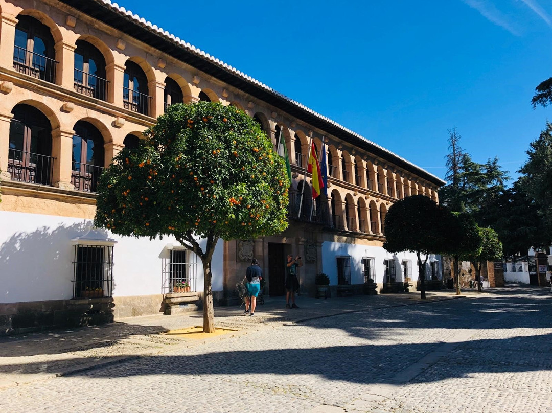 Ayuntamiento de Ronda-隆达必去景点