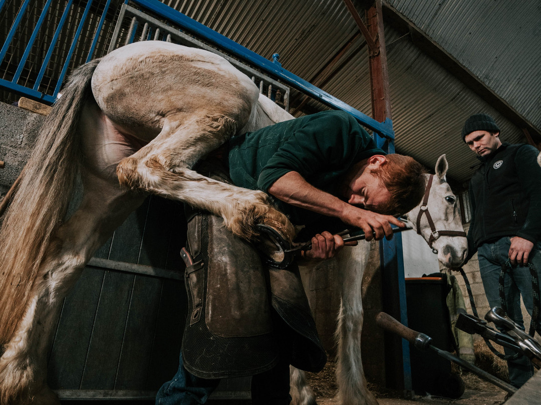 JT Equestrian景点图片