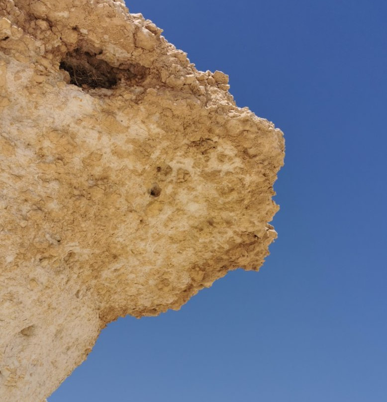 Ektshef Deerti-多哈必去景点