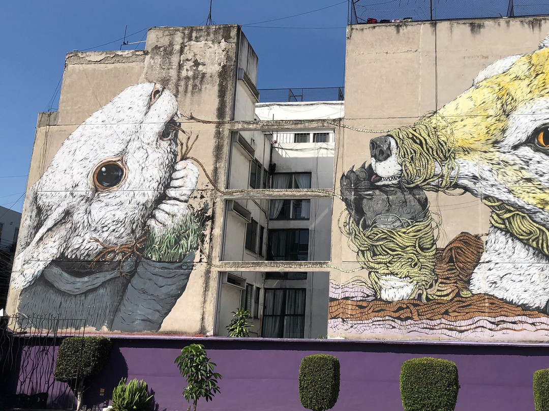 Street Art Roma District-墨西哥城必去景点