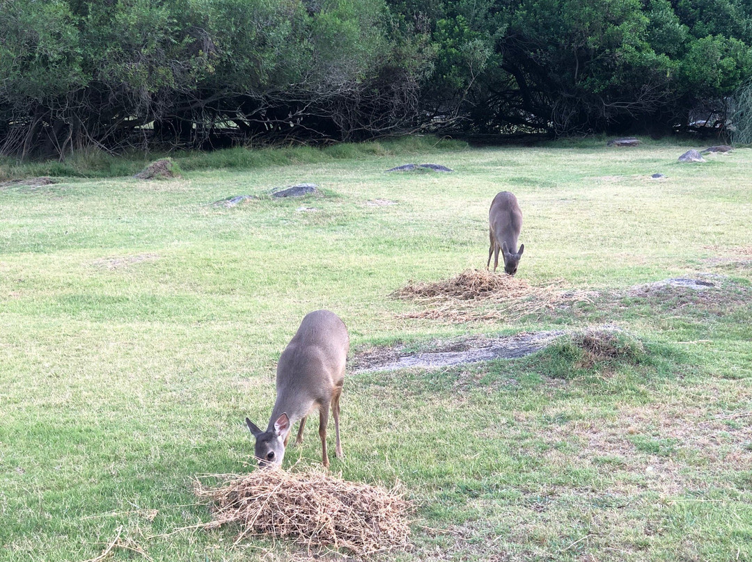 Reserva de Flora y Fauna Autóctona del Cerro Pan de Azúcar-Piriapolis必去景点