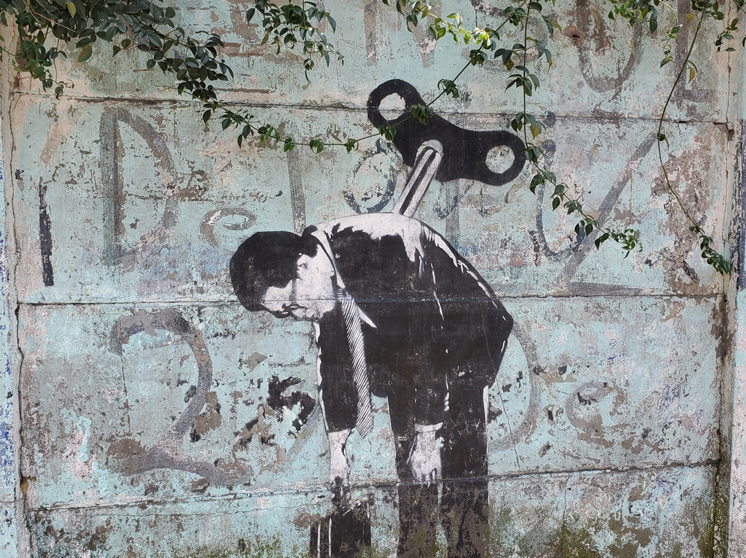 Street Art Roma District-墨西哥城必去景点