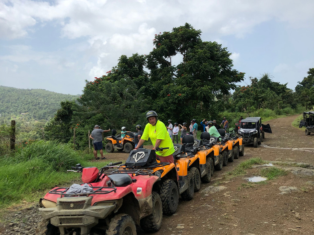 Carabali Rainforest Park-Luquillo必去景点