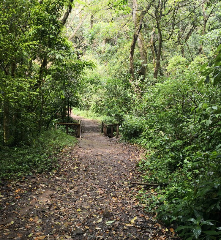 Bosque de la Hoja景点图片